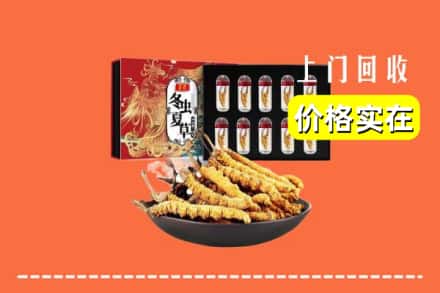 伊春金林区回收冬虫夏草